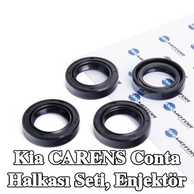 DR.MOTOR AUTOMOTIVE Conta Halkası Seti, enjektör — 2012 Kia Carens
