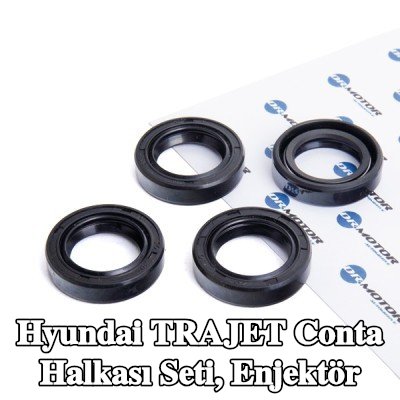 DR.MOTOR AUTOMOTIVE Conta Halkası Seti, enjektör — Hyundai Trajet