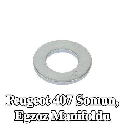 WALKER Somun, egzoz manifoldu — Peugeot 407