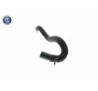 VAICO Hidrolik direksiyon hortumu Orijinal VAICO Kalitesi — 2012 Ford Transit Connect (4)