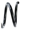 SACHS Helezon yay — 2002 BMW 5 Series (3)
