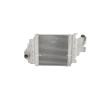 NRF Intercooler — 2000 Renault Clio (1)