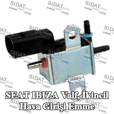 FISPA Valf, ikincil hava girişi emme — 2000 SEAT Ibiza