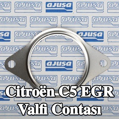 AJUSA EGR valfi contası — Citroën C5