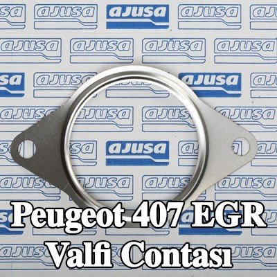 AJUSA EGR valfi contası — Peugeot 407