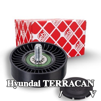 FEBI BILSTEIN بكرة الانحراف/التوجيه, V-ribbed belt Outer Diameter: 76mm, مع برغي — Hyundai Terracan