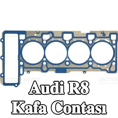 REINZ Kafa contası — Audi R8