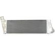 MAHLE Intercooler — 2004 Renault Scénic (4)
