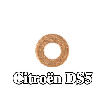 CITROEN/PEUGEOT حشية حاقن الوقود فوهة الحاقن — Citroën Ds5