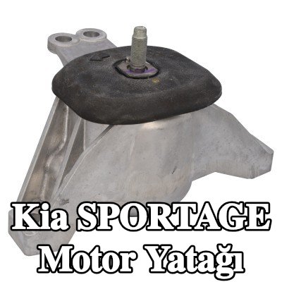 FEBI BILSTEIN Motor yatağı Ön, Sağ — Kia Sportage