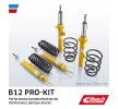 EIBACH Süspansiyon kiti, coil springs / shock absorbers B12 Pro-Kit — 1992 Volkswagen Scirocco (10)