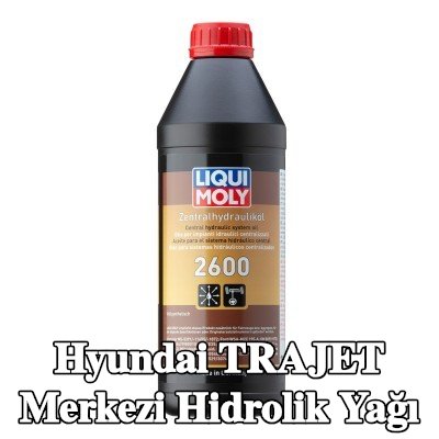 LIQUI MOLY Merkezi hidrolik yağı 2600 — Hyundai Trajet
