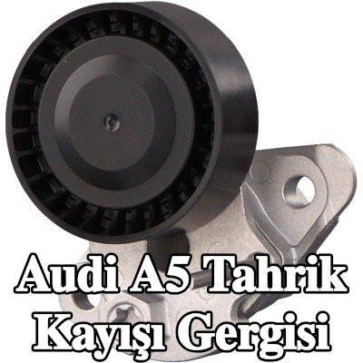 FEBI BILSTEIN Tahrik kayışı gergisi — Audi A5