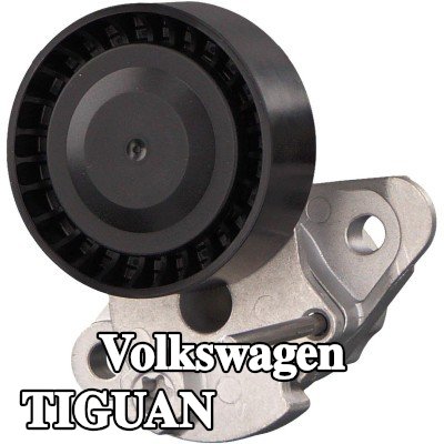 FEBI BILSTEIN مشده حزام المحرك — Volkswagen Tiguan