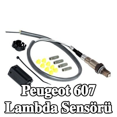 BOSCH Lambda sensörü — Peugeot 607