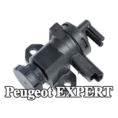 PIERBURG محول الضغط، التحكم في العادم — 2000 Peugeot Expert