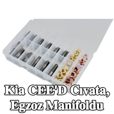 Connect Cıvata, egzoz manifoldu Alfa Romeo, BMW, Chrysler, Citroën, Fiat, Ford, Honda, Mazda, Nissan, Opel, Peugeot, Porsche, Renault, Saab, Vauxhall, Volvo — Kia Cee'd