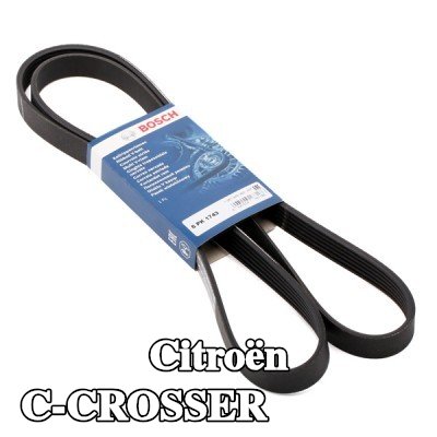 BOSCH حزام سيربنتين 1743mm, Number of ribs: 6 — Citroën C-crosser