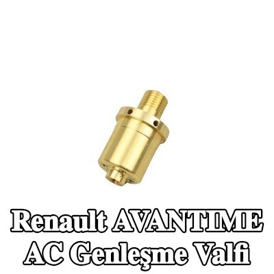 FAST AC genleşme valfi — Renault Avantime