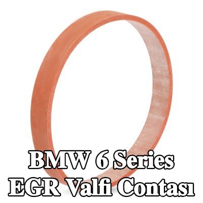 ELRING EGR valfi contası Emme Manifoldu — 2010 BMW 6 Series