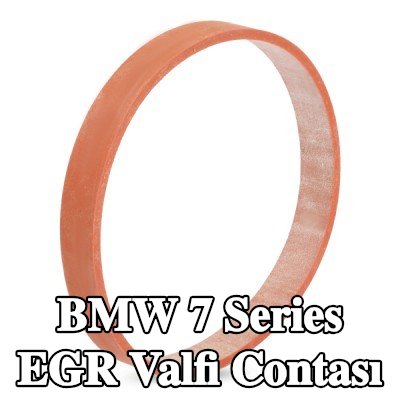 ELRING EGR valfi contası Emme Manifoldu — 2000 BMW 7 Series