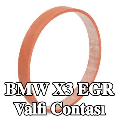 ELRING EGR valfi contası Emme Manifoldu — 2004 BMW X3