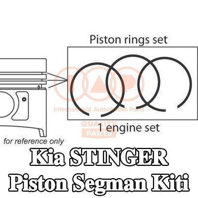 IAP QUALITY PARTS Piston Segman Kiti — Kia Stinger