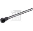 FEBI BILSTEIN Bagaj kapağı amortisörü (Her iki taraf), 485mm — 2012 SEAT Ibiza (4)