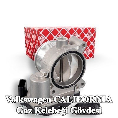 FEBI BILSTEIN Gaz kelebeği gövdesi — 2010 Volkswagen California