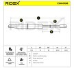 RIDEX Bagaj kapağı amortisörü (Her iki taraf), 517mm — 1994 Honda Civic (6)