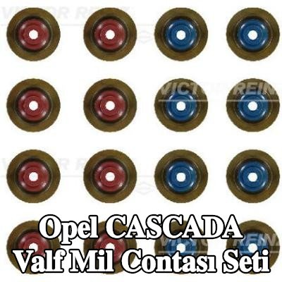 REINZ Valf mil contası seti — Opel Cascada