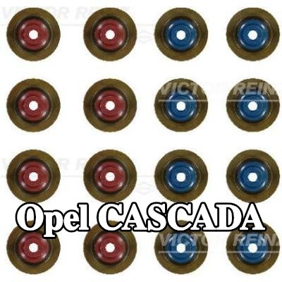 REINZ مجموعة سدادات صمامات الصمامات — Opel Cascada