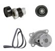RIDEX Su Pompası + V-Kanalı Kayış Kiti — Nissan Micra (1)