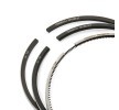 RIDEX Piston Segman Kiti — 2011 Hyundai Santa Fe (3)