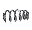 SACHS Helezon yay — SEAT Exeo (2)