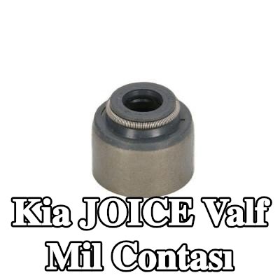 BTA Valf mil contası — Kia Joice