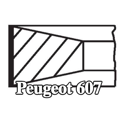MAHLE مجموعة حلقات المكبس — Peugeot 607