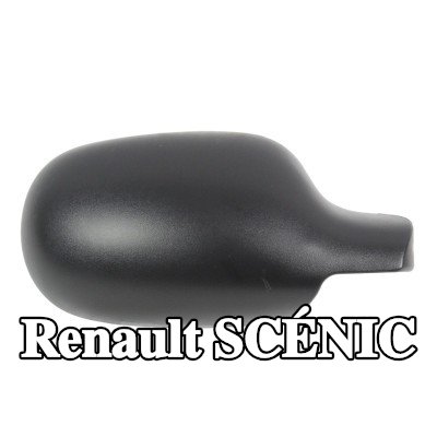 ABAKUS غطاء مرآة الجناح — 2002 Renault Scénic