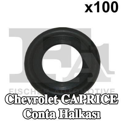 FA1 Conta halkası — 1990 Chevrolet Caprice