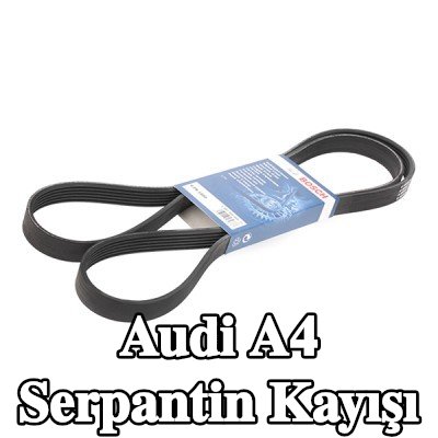 BOSCH Serpantin kayışı 1880mm, Number of ribs: 6 — 2002 Audi A4