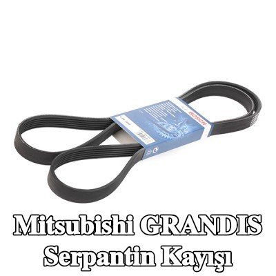 BOSCH Serpantin kayışı 1880mm, Number of ribs: 6 — Mitsubishi Grandis