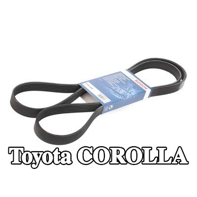 BOSCH حزام سيربنتين 1880mm, Number of ribs: 6 — 2002 Toyota Corolla