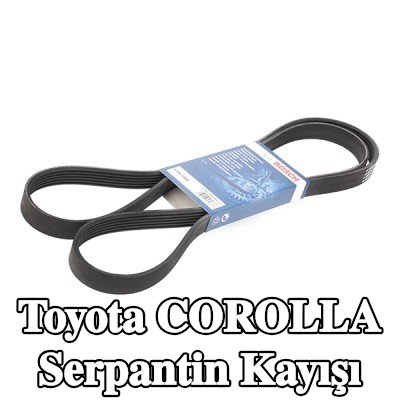 BOSCH Serpantin kayışı 1880mm, Number of ribs: 6 — 2002 Toyota Corolla
