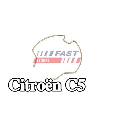 FAST مشبك تثبيت، خرطوم هواء الشاحن — Citroën C5