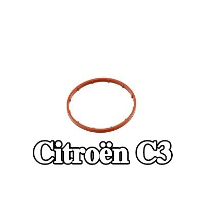 FAST حشية، مضخة تفريغ — 2002 Citroën C3