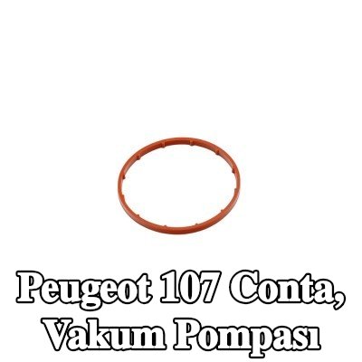 FAST Conta, vakum pompası — Peugeot 107