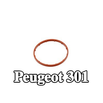 FAST حشية، مضخة تفريغ — 2012 Peugeot 301