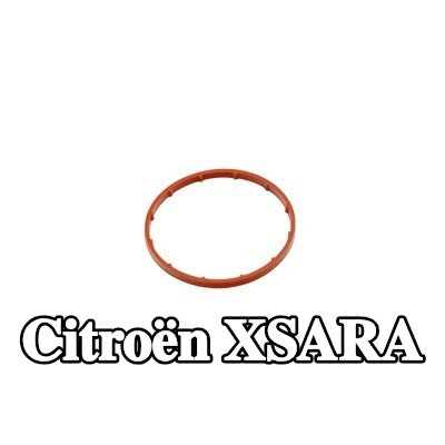 FAST حشية، مضخة تفريغ — Citroën Xsara