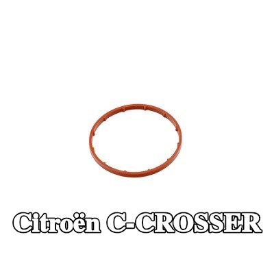 FAST حشية، مضخة تفريغ — Citroën C-crosser