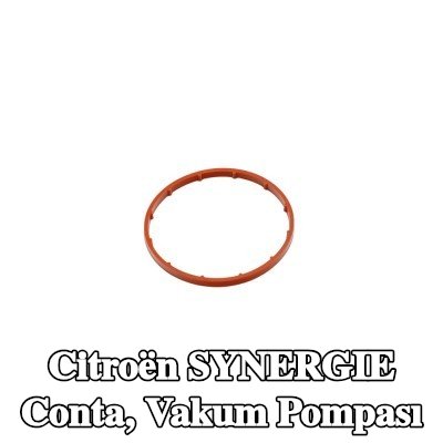 FAST Conta, vakum pompası — Citroën Synergie